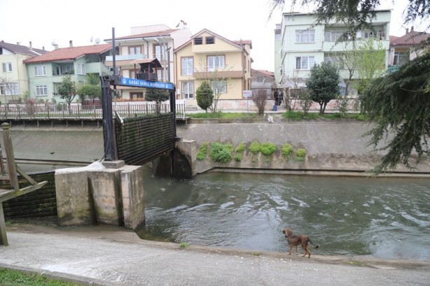 Foto - Sakarya'nın nadide mekanlarından: Kent Park - 2