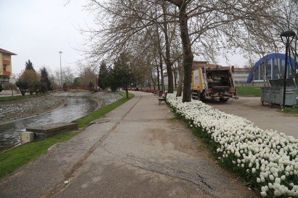 Foto - Sakarya'nın nadide mekanlarından: Kent Park - 2