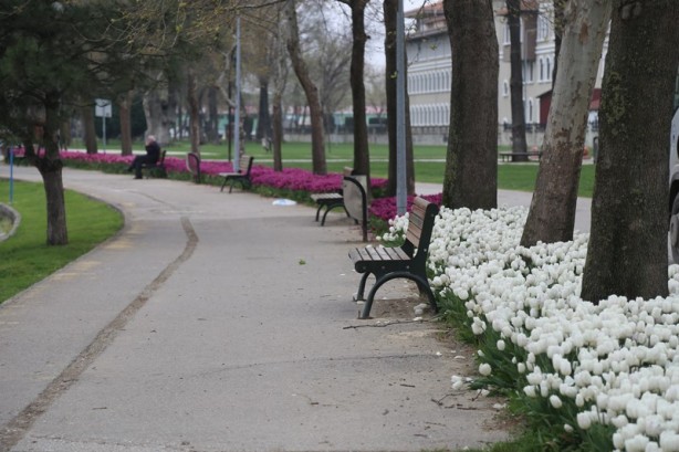 Foto - Sakarya'nın nadide mekanlarından: Kent Park - 2