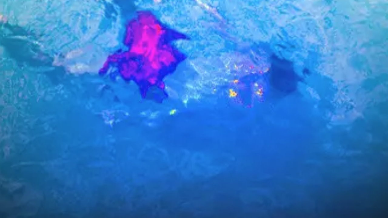 Sakarya’ya tatile diye gittiler, dehşeti yaşadılar! Bungalovda korkunç anlar