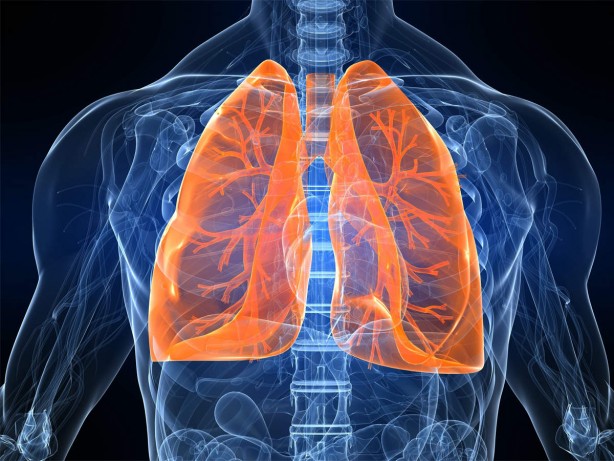 Foto - Sakın bunu yapmayın! Ayakta su içmemek için 4 neden