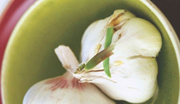 Foto - Sakın çöpe atmayın!