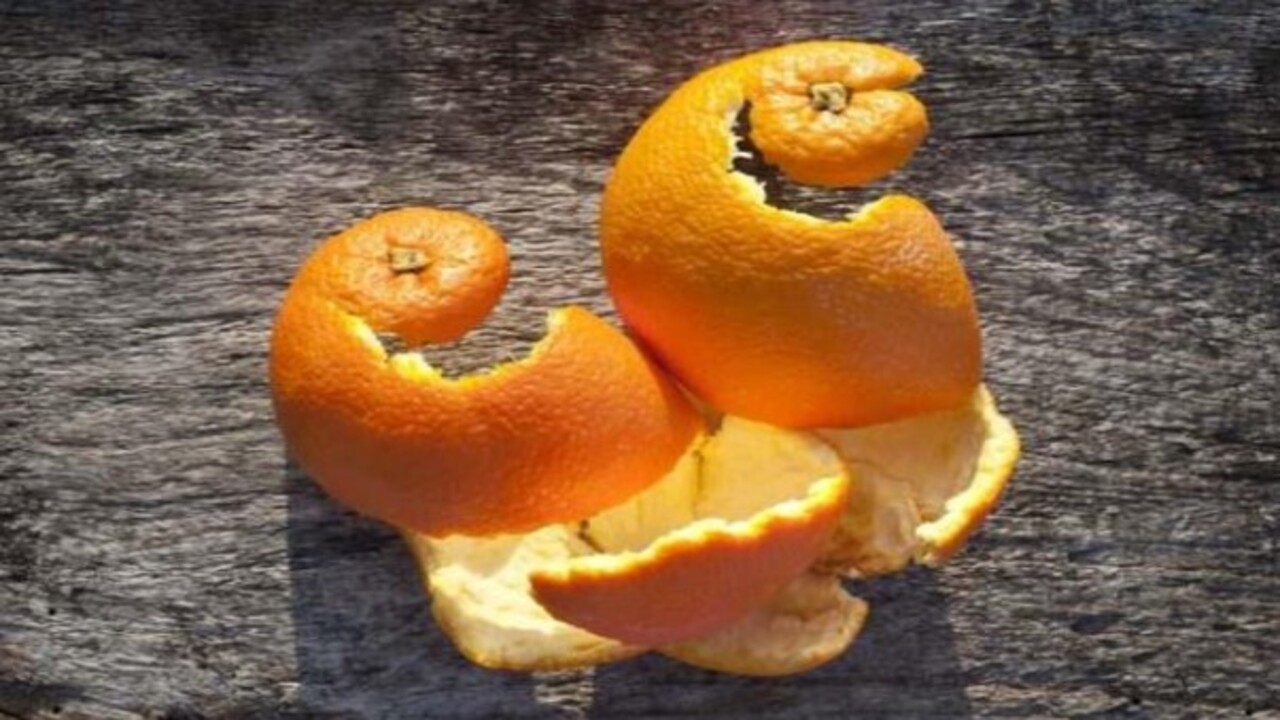 Foto - Sakın çöpe atmayın! İşte portakal kabuğunun cilde faydası