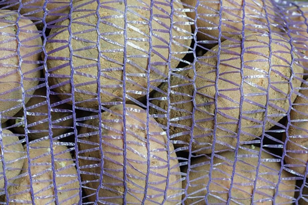 Foto - Sakın çöpe atmayın, üstünü kesin ve... Hiç aklınıza gelmeyecek bir işe yarıyor!