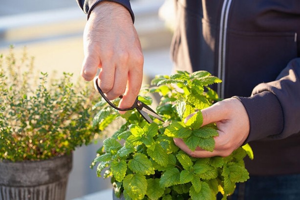 Foto - Sakın çöpe atmayın, üstünü kesin ve... Hiç aklınıza gelmeyecek bir işe yarıyor!