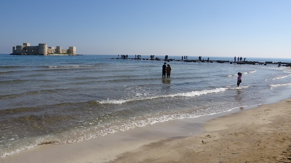 Foto - Sakın dokunmayın hepsi zehirli! 