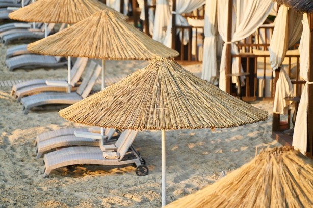 Foto - Sakın hafife almayın! Seviyoruz fakat zehirliyor