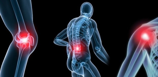 Foto - Sakın hafife almayın! Seviyoruz fakat zehirliyor