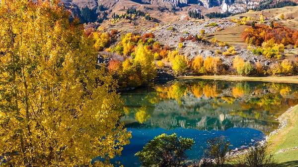 Foto - "Sakin şehir" doğal fotoğraf stüdyosuna dönüştü