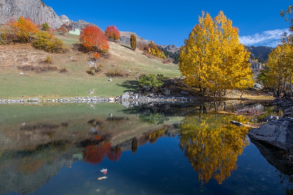 Foto - "Sakin şehir" doğal fotoğraf stüdyosuna dönüştü
