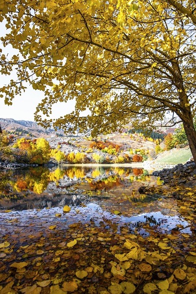 Foto - "Sakin şehir" doğal fotoğraf stüdyosuna dönüştü
