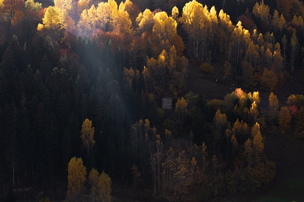 Foto - "Sakin şehir" doğal fotoğraf stüdyosuna dönüştü