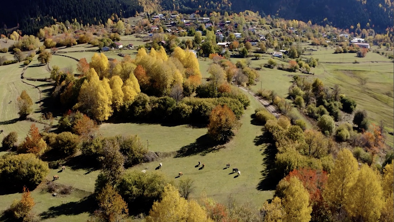 Foto - ‘Sakin şehir’de sonbahar başka güzel
