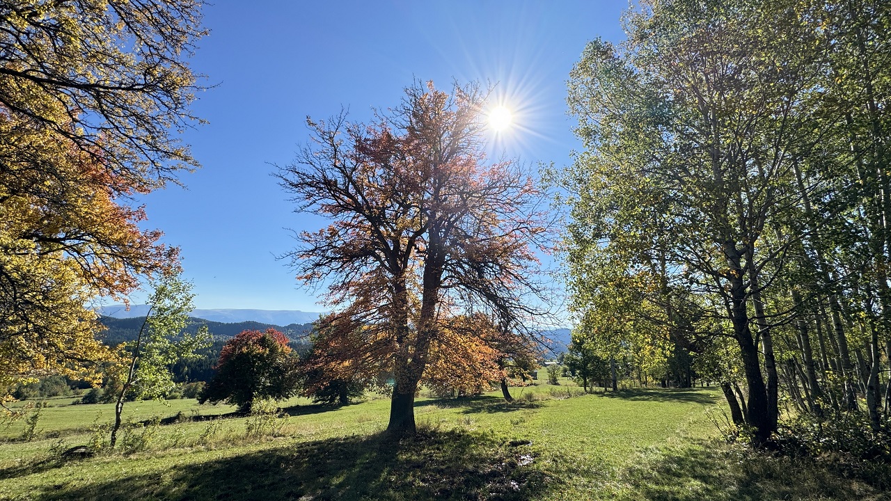 Foto - ‘Sakin şehir’de sonbahar başka güzel
