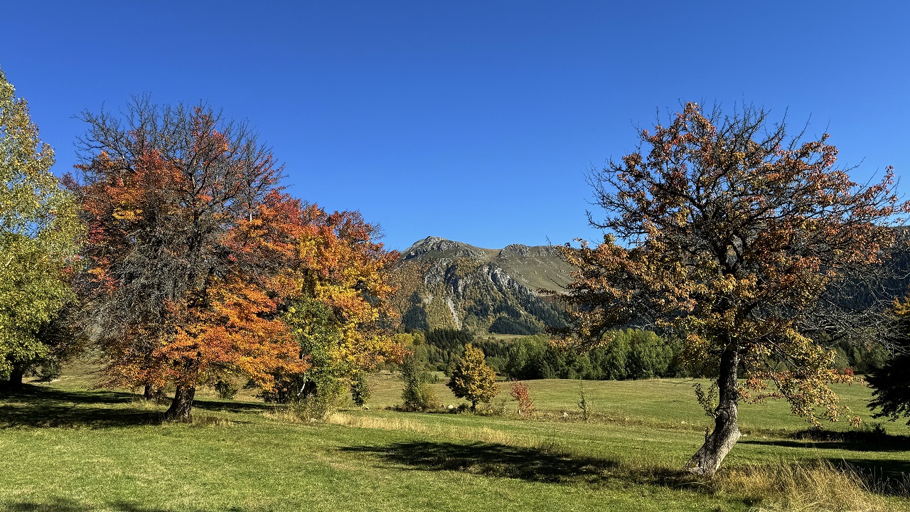 ‘Sakin şehir’de sonbahar başka güzel