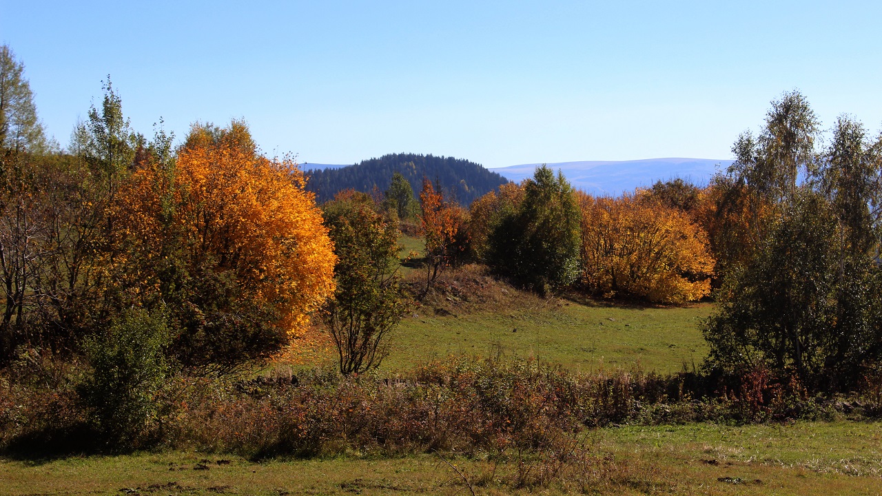 Foto - ‘Sakin şehir’de sonbahar başka güzel