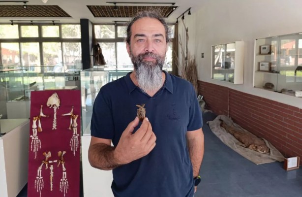 Foto - Görürseniz sakın yaklaşmayın: 'Parmak kopartan' Türkiye'de görüldü!