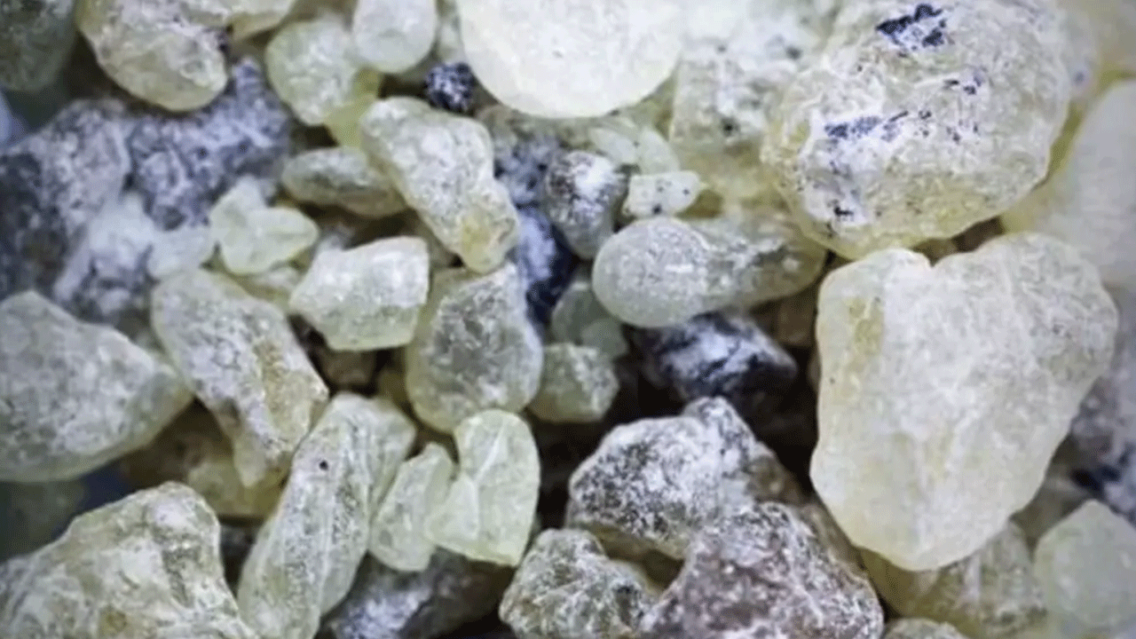 Foto - Bu sakızı çiğneyen kilo veriyor! Günde iki kez yetiyor!