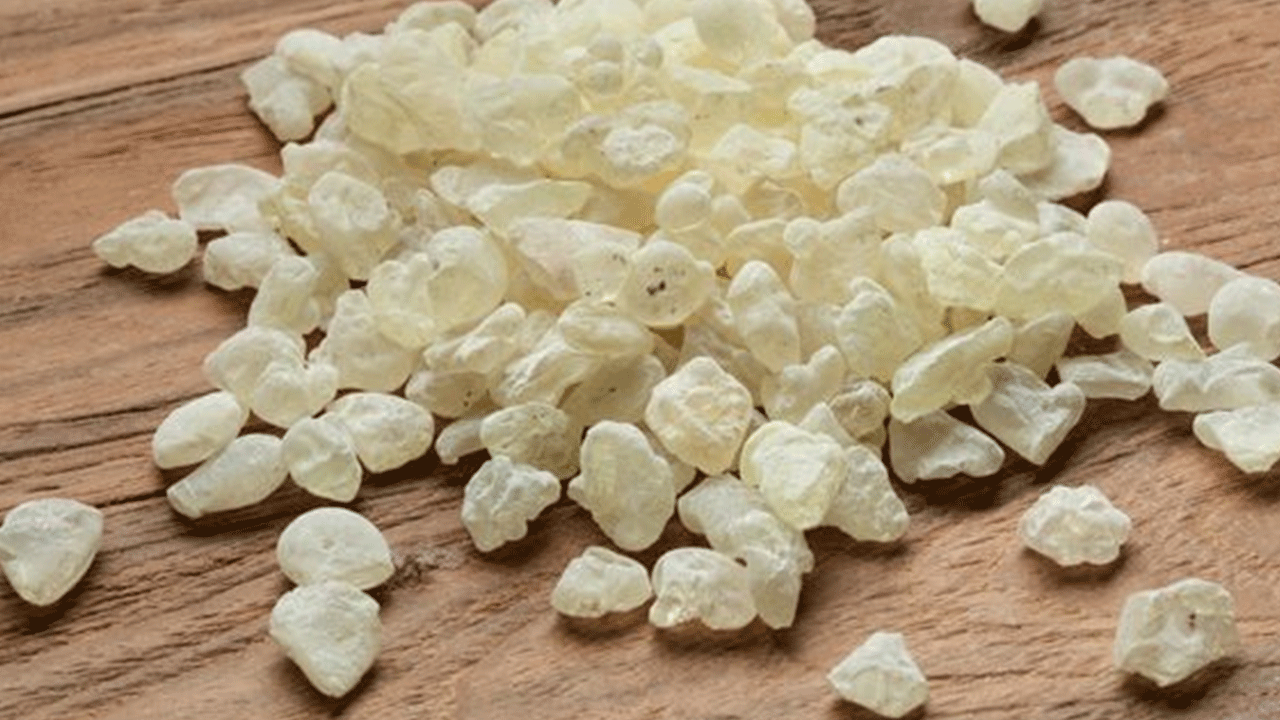 Foto - Bu sakızı çiğneyen kilo veriyor! Günde iki kez yetiyor!