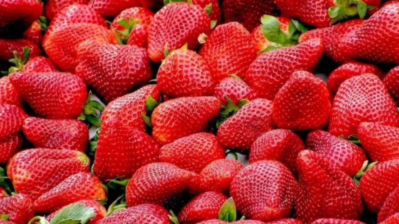 Saklarken sakın bunu yapmayın! Çileğin bozulmasını sağlayan hata belli oldu