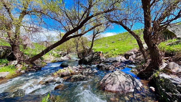Foto - Saklı Cennet keşfedildi