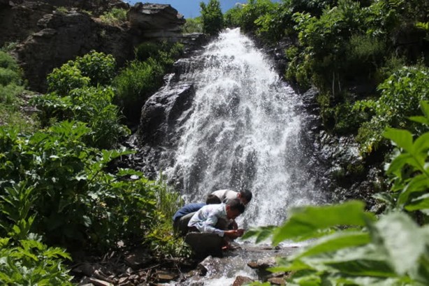 Foto - Saklı cennet Miraşe Yaylası görenleri adeta büyülüyor