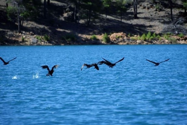 Foto - Saklı cennet 