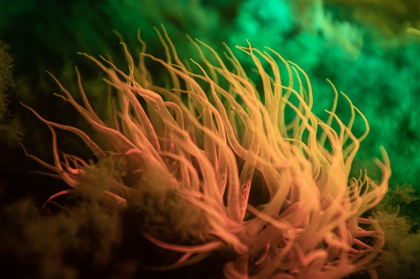 Foto - Saklı hazine geceleri bir başka güzel!