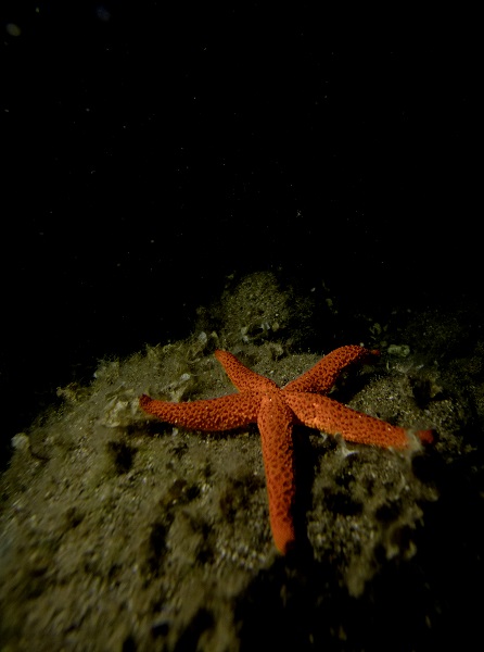 Foto - Saklı hazine geceleri bir başka güzel!