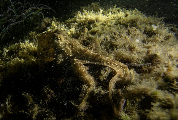 Foto - Saklı hazine geceleri bir başka güzel!