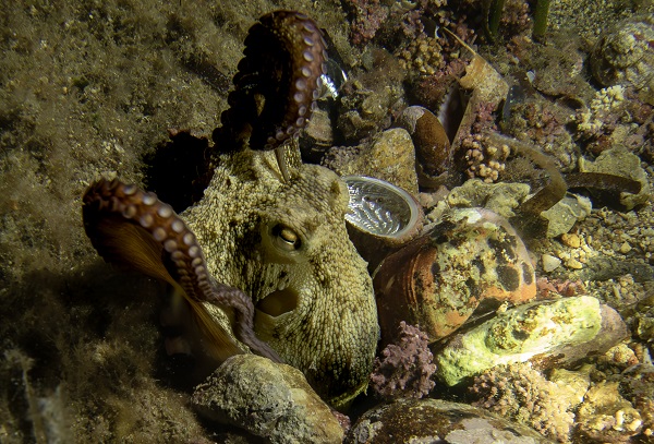 Foto - Saklı hazine geceleri bir başka güzel!