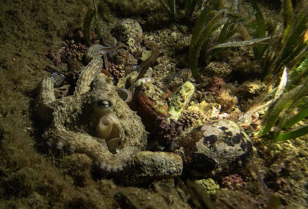 Foto - Saklı hazine geceleri bir başka güzel!
