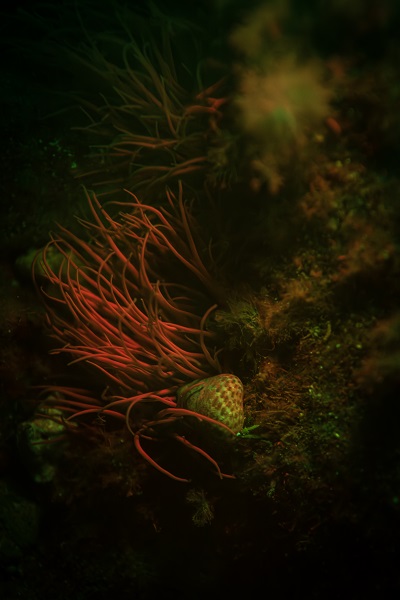 Foto - Saklı hazine geceleri bir başka güzel!