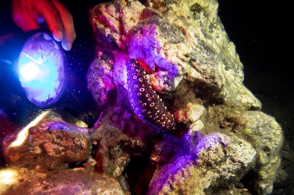 Foto - Saklı hazine geceleri bir başka güzel!