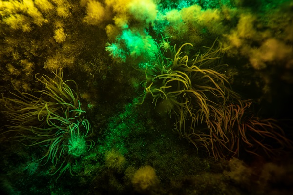 Foto - Saklı hazine geceleri bir başka güzel!