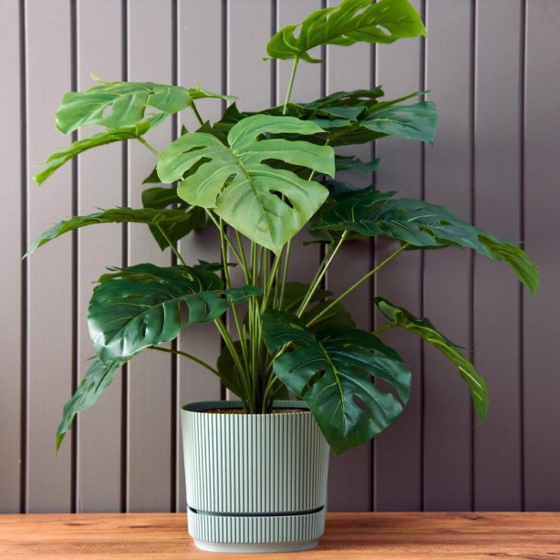 Foto - Saksının içine bozuk para koyun, neler oluyor izleyin! Gören, gözlerine inanamıyor