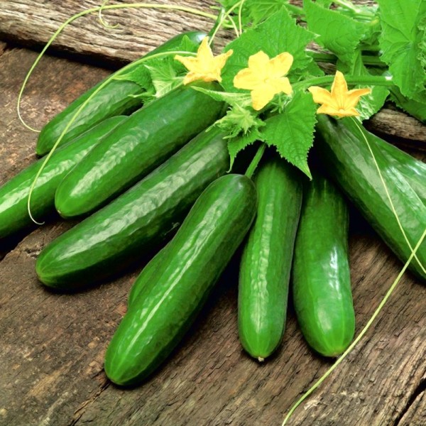 Foto - Salatalığın bu etkilerini öğrenince şaşıracaksınız