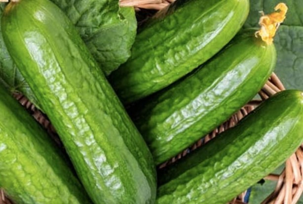 Foto - Salatalığın bu etkilerini öğrenince şaşıracaksınız