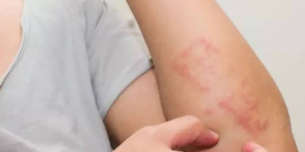 Foto - Salatalığın bu özelliği bilinse kimse tüketmez! Adeta zehir oluyor