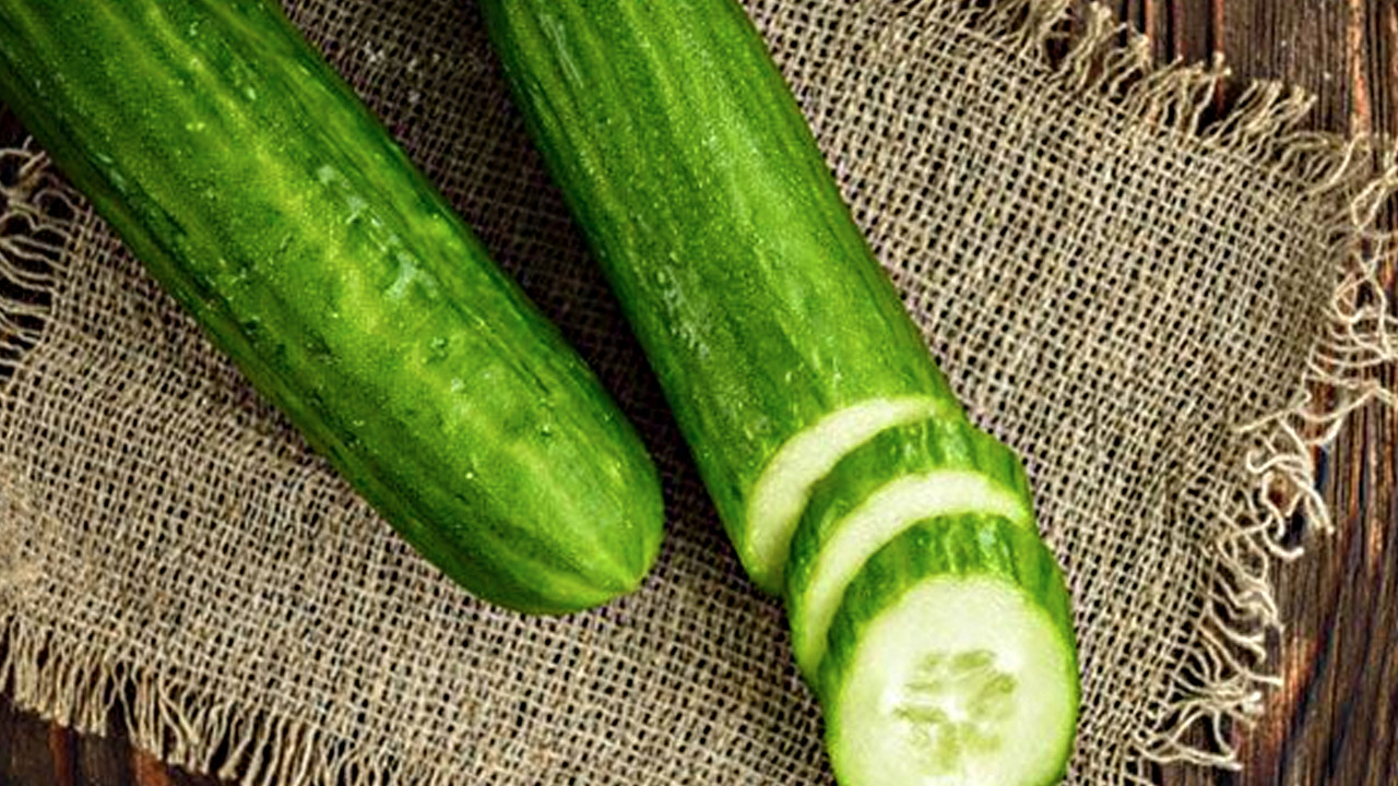 Foto - Kanser riskini azaltır! Kimse farkında değil! Efsane salatalık tarifi! 