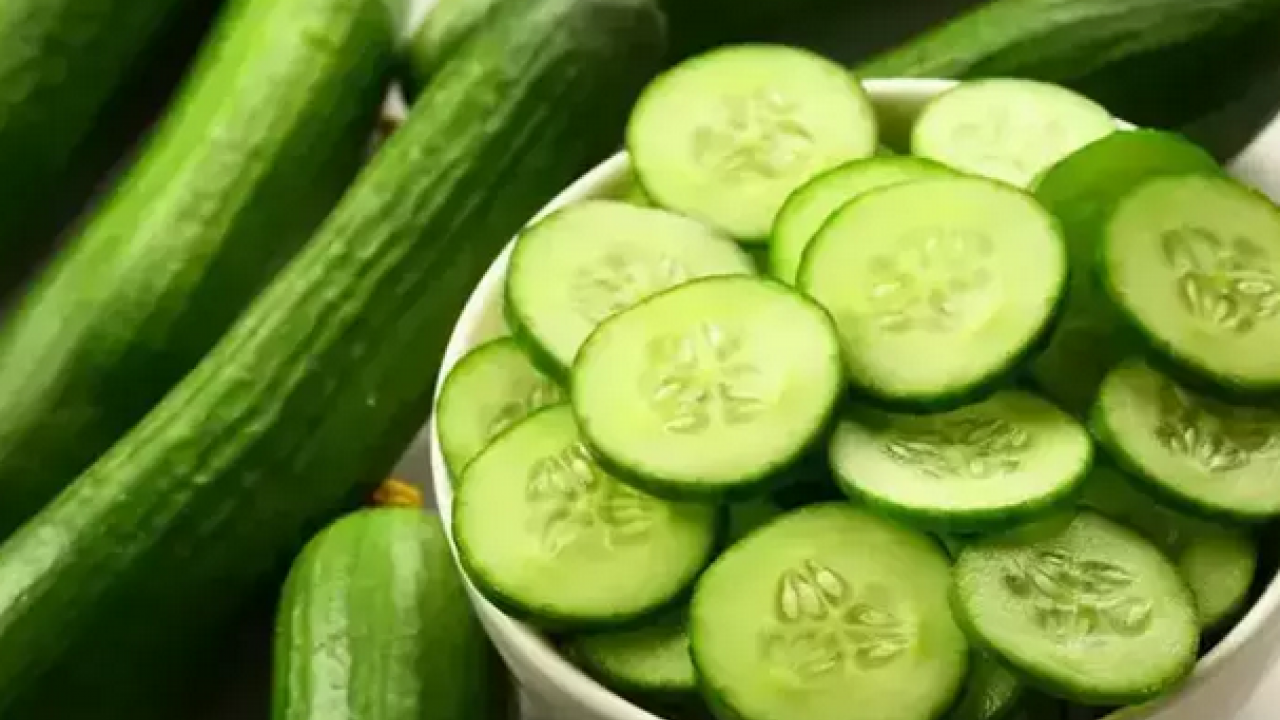 Foto - Salatalıklar kısa sürede çürümesin! Meğer dolaba koyarken... Bunu ne yapıp edip mutlaka yapmalısınız'...