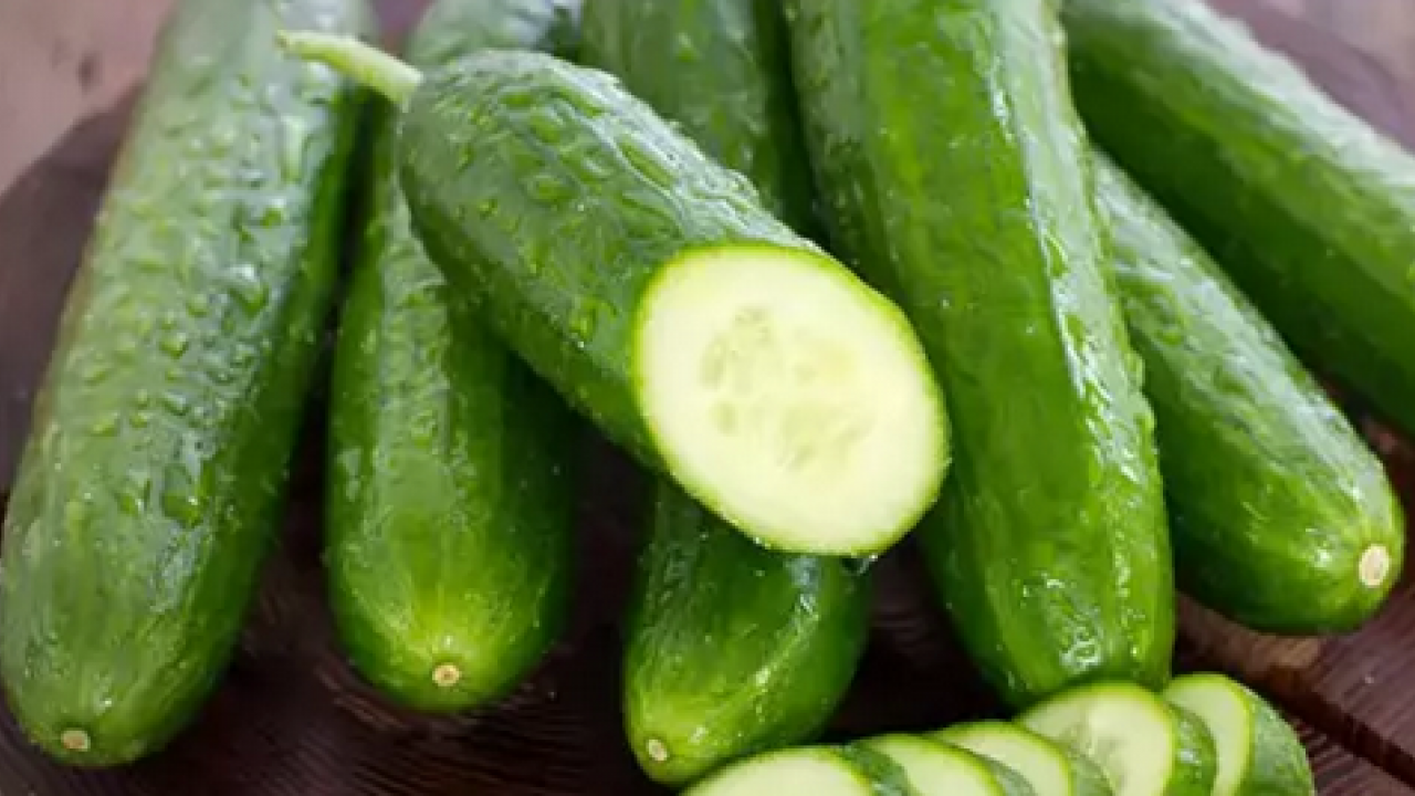 Salatalıklar kısa sürede çürümesin! Meğer dolaba koyarken... Bunu ne yapıp edip mutlaka yapmalısınız'...