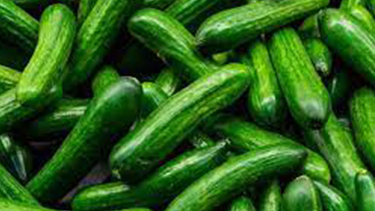 Foto - Salatalıklar raflardan toplatılıyor: Sakın yemeyin uyarısı yapıldı, çok kişi hastanelik oldu