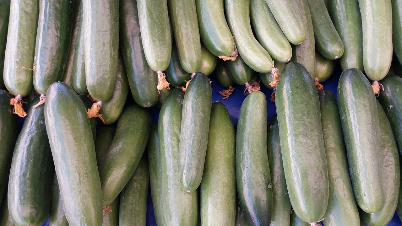Foto - Salatalıklar raflardan toplatılıyor: Sakın yemeyin uyarısı yapıldı, çok kişi hastanelik oldu