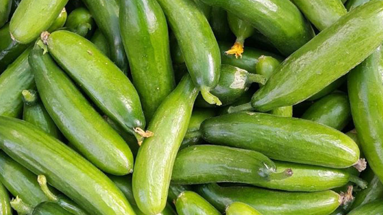 Salatalıklar raflardan toplatılıyor: Sakın yemeyin uyarısı yapıldı, çok kişi hastanelik oldu