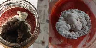 Foto - Salçada oluşan küf sorununu yok eden yeni yöntem! Bu çözdü! Not alındı:1 damlası bile şok etki ediyor! Böyle hazırlanıyor