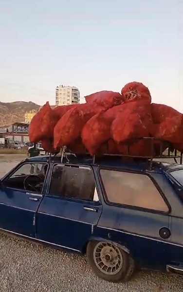 Foto - Salçalık biberin fiyatı düştü