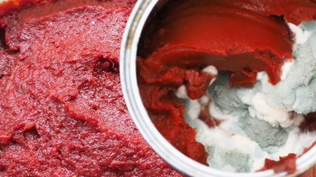 Salçanın küflenmesini engelleyebilen yöntemler! Denemeyen pişman oluyor