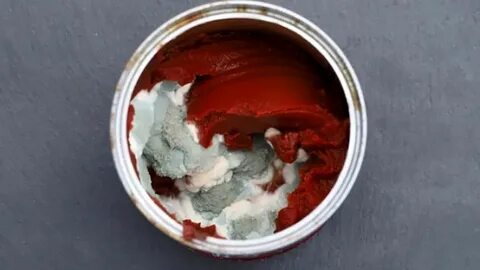 Foto - Salçanın küflenmesini engelleyebilen yöntemler! Denemeyen pişman oluyor