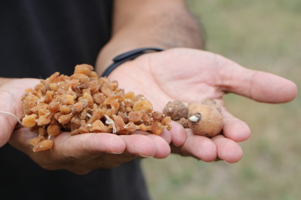 Salep sevenler dikkat! Cezası 110 bin lira